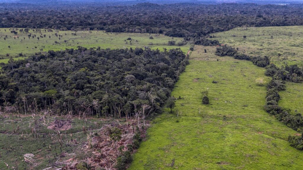 Déforestation 2